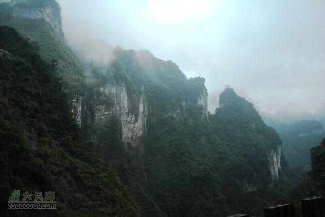 张家界之天门山DSC_0107