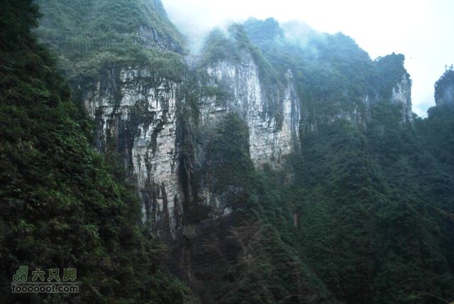 张家界之天门山DSC_0111