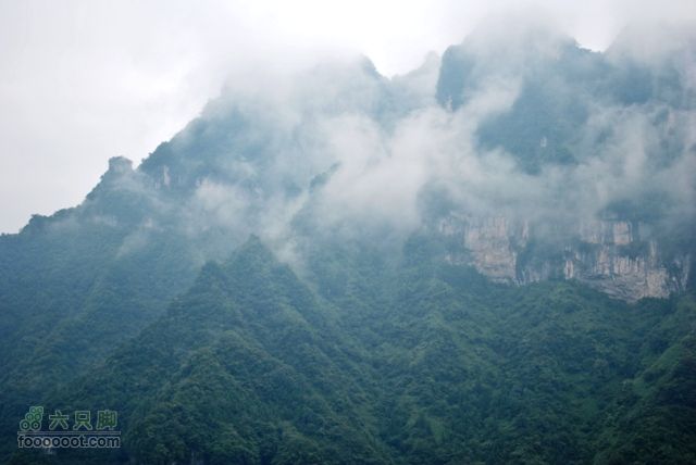 张家界之天门山DSC_0122