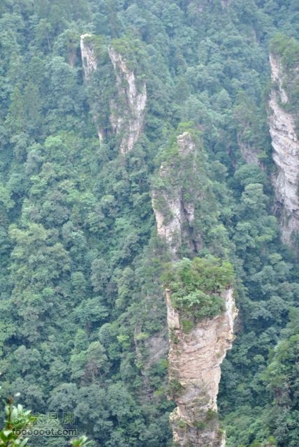 张家界之武陵源2DSC_0327
