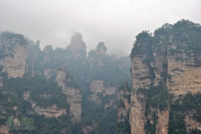 张家界之武陵源2DSC_0329
