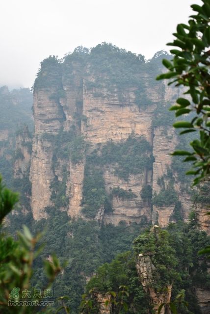 张家界之武陵源2DSC_0336