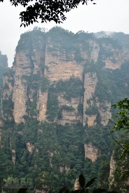 张家界之武陵源2DSC_0349