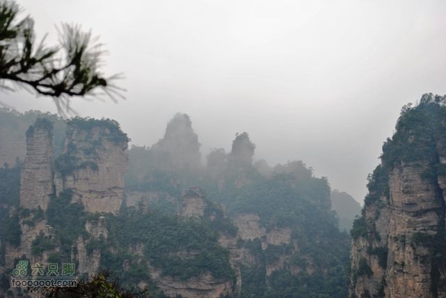 张家界之武陵源2DSC_0377