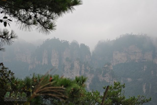 张家界之武陵源2DSC_0381