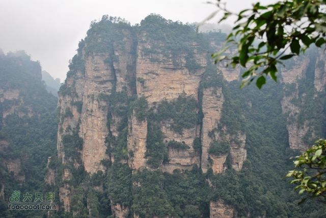 张家界之武陵源2DSC_0384