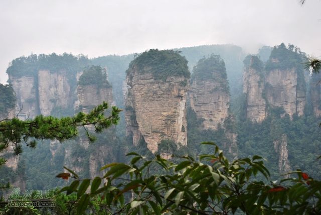 张家界之武陵源2DSC_0385