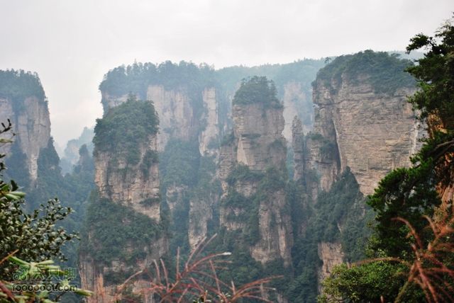 张家界之武陵源2DSC_0402