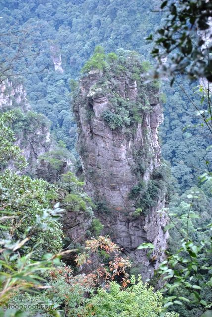 张家界之武陵源2DSC_0405