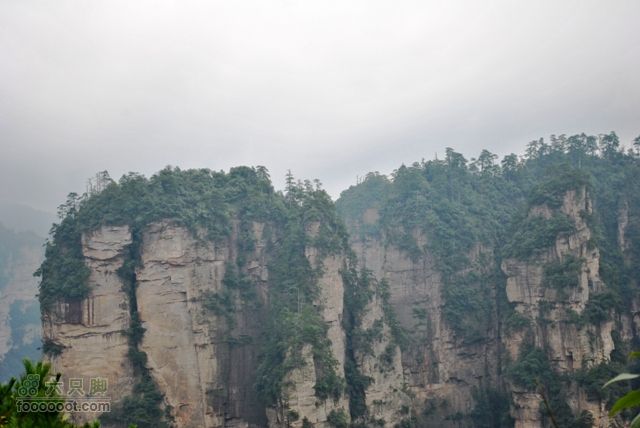 张家界之武陵源2DSC_0420