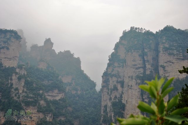张家界之武陵源2DSC_0421