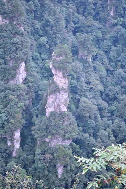 张家界之武陵源2DSC_0430