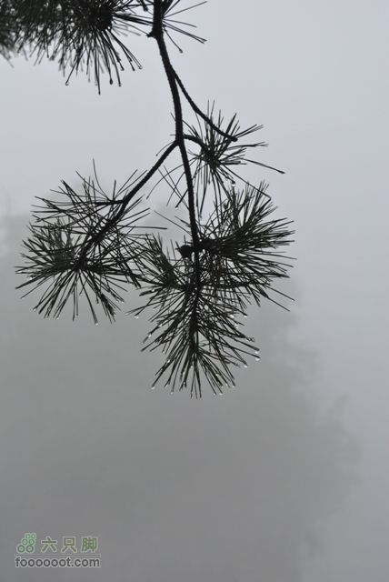 张家界之武陵源3DSC_0024