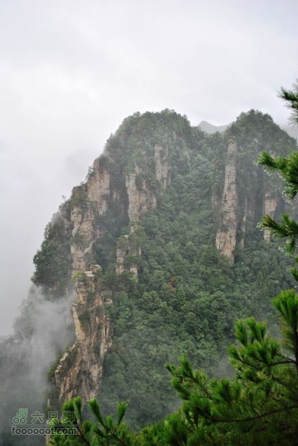 张家界之武陵源4DSC_0064