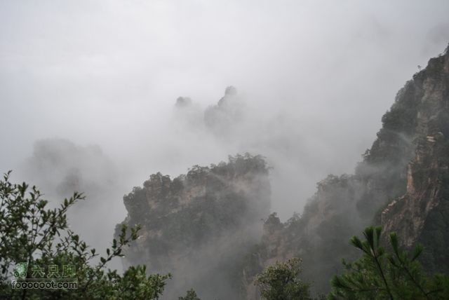 张家界之武陵源4DSC_0066