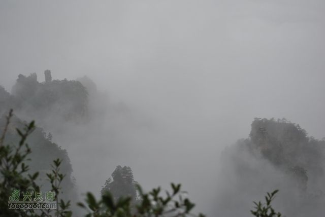 张家界之武陵源4DSC_0068