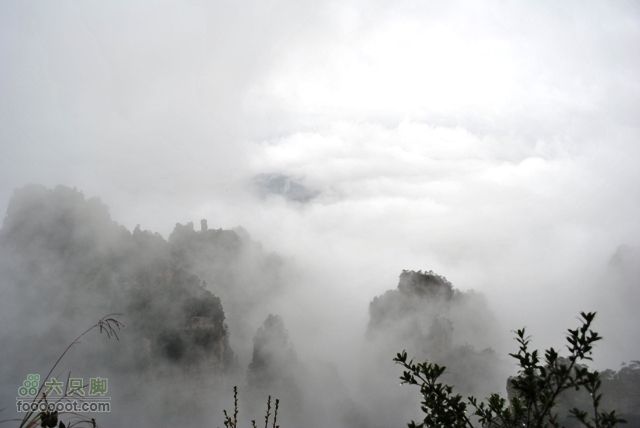 张家界之武陵源4DSC_0071