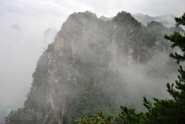 张家界之武陵源4DSC_0074