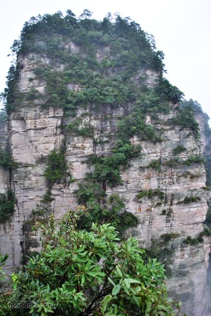 张家界之武陵源4DSC_0081