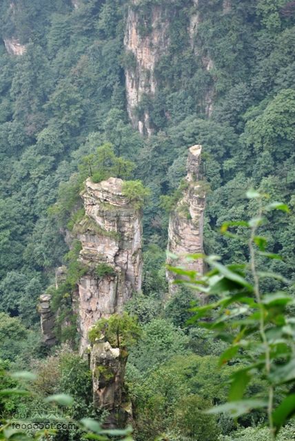 张家界之武陵源5DSC_0195