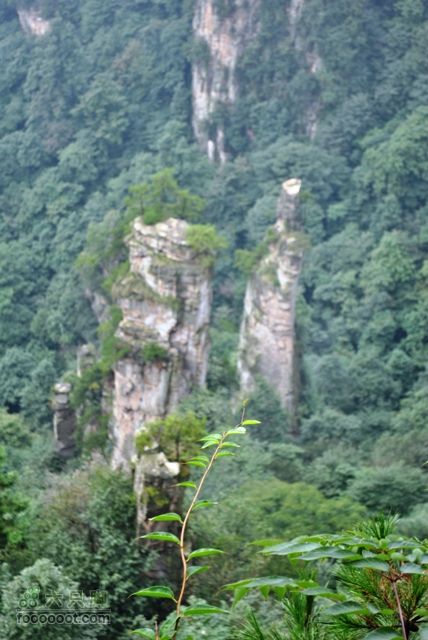 张家界之武陵源5DSC_0204