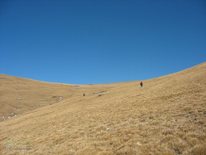 南骆驼庵－东甸子梁－茶山－南台－中台－东台－山涧口很多时候我们走在这样的草甸上