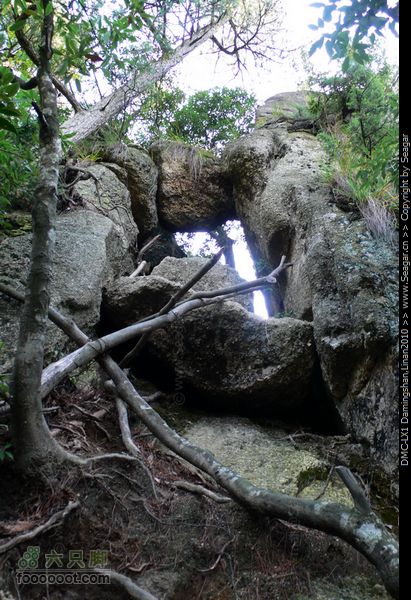 临安大明山[北-南]穿越P1120036