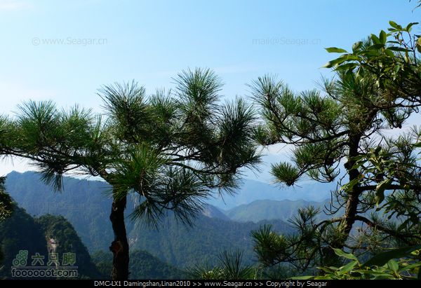 临安大明山[北-南]穿越P1120048
