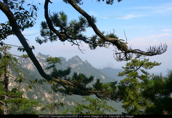临安大明山[北-南]穿越P1120120