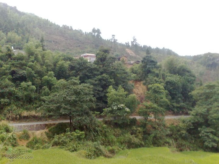 福建永安至上杭才溪、回龙201010091068