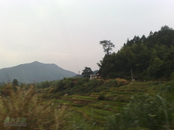 福建永安至上杭才溪、回龙201010091069