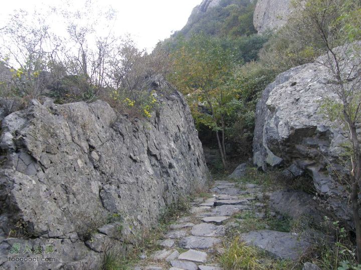 鹫峰-萝卜地-金山寺PA060886
