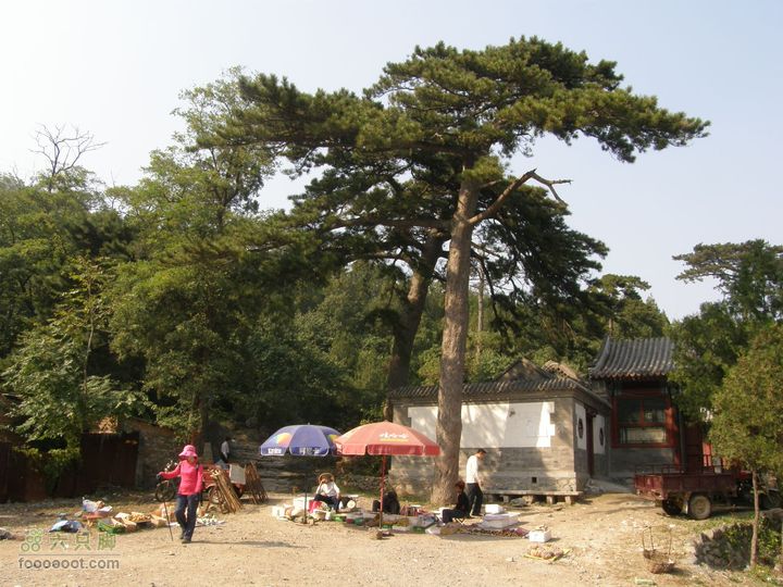 鹫峰-萝卜地-金山寺PA060916