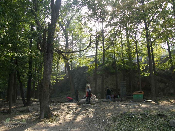 鹫峰-萝卜地-金山寺PA060937