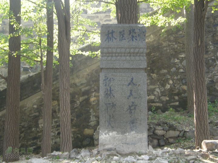 鹫峰-萝卜地-金山寺PA060938