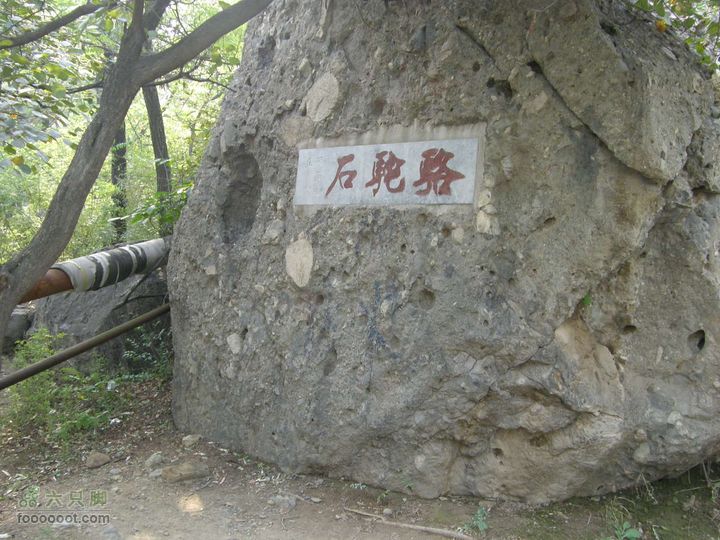 鹫峰-萝卜地-金山寺PA060959