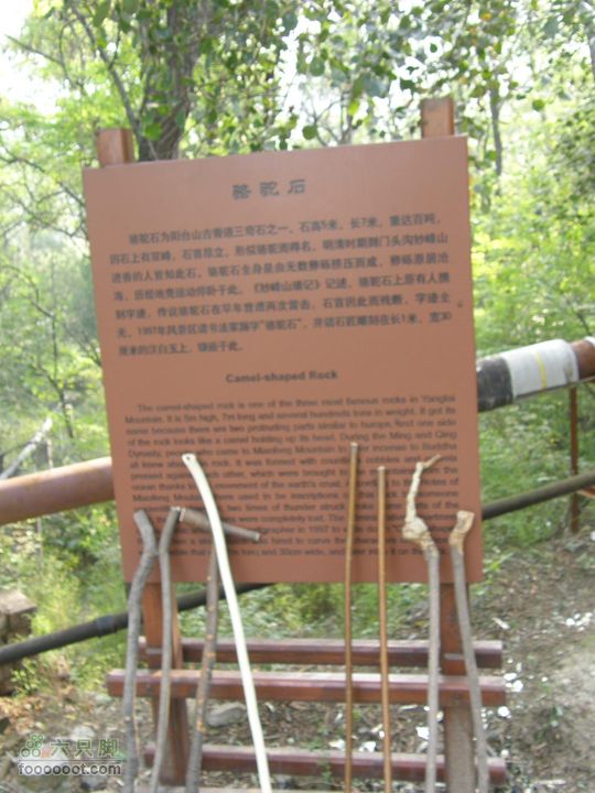 鹫峰-萝卜地-金山寺PA060960