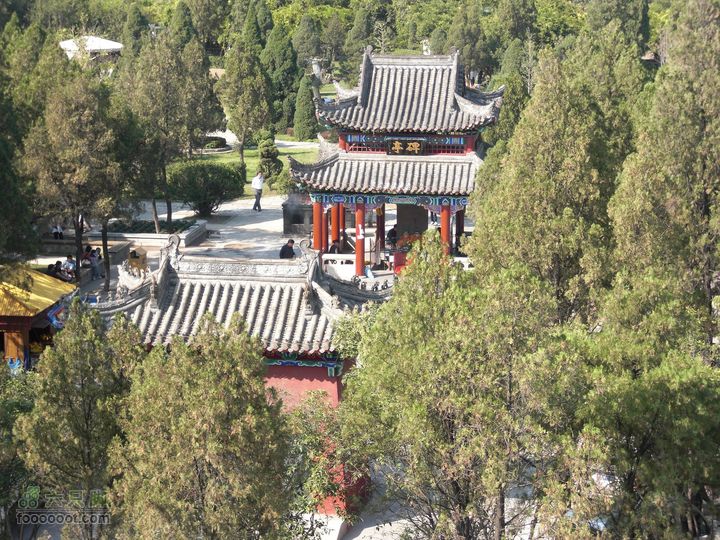 十一黄金周_神农架_云台山_4省自驾行 [合并]CIMG2227_眸目压缩