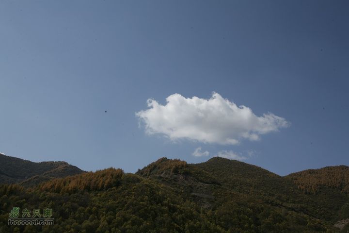 十一黄金周_神农架_云台山_4省自驾行 [合并]1D0L0005_眸目压缩
