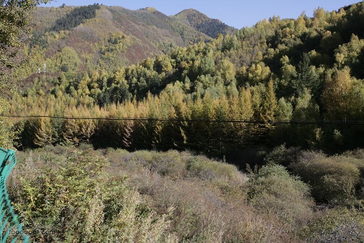 十一黄金周_神农架_云台山_4省自驾行 [合并]1D0L0200_眸目压缩