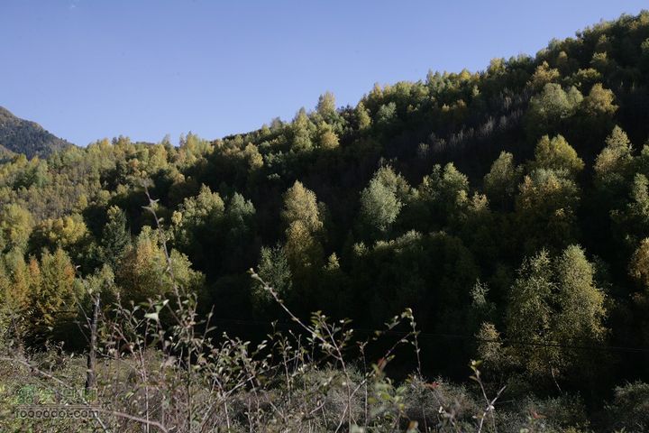 十一黄金周_神农架_云台山_4省自驾行 [合并]1D0L0208_眸目压缩