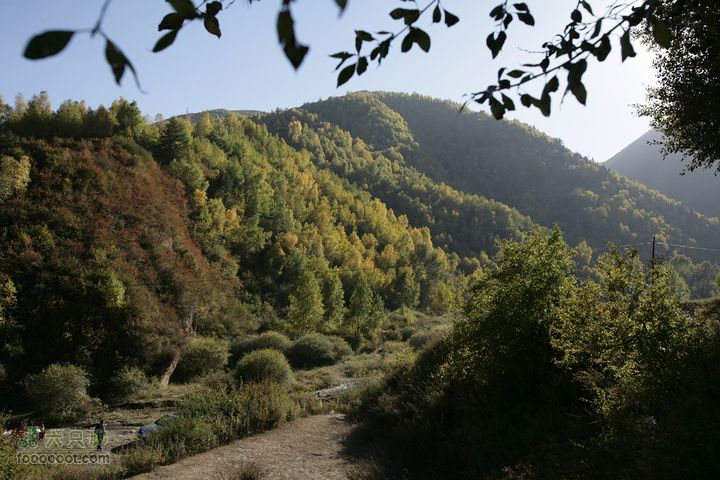 十一黄金周_神农架_云台山_4省自驾行 [合并]1D0L0212_眸目压缩