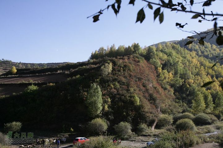 十一黄金周_神农架_云台山_4省自驾行 [合并]1D0L0213_眸目压缩
