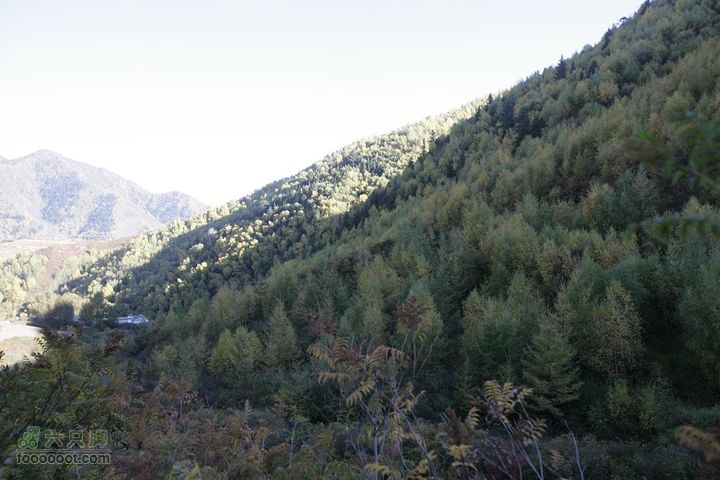 十一黄金周_神农架_云台山_4省自驾行 [合并]兴隆山秋色