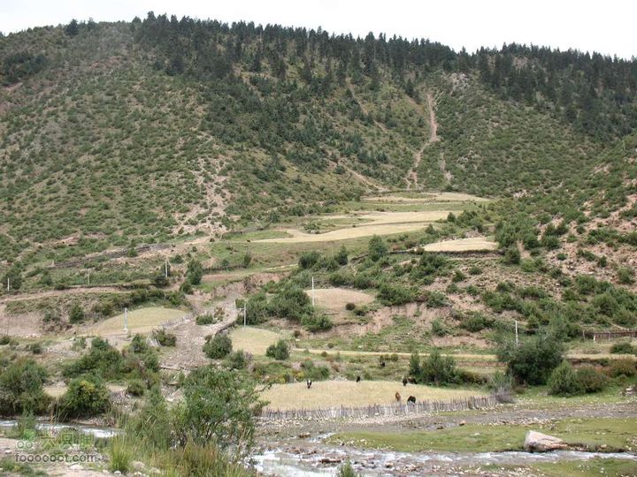 川藏南线骑行第14天nEO_IMG_IMG_4141