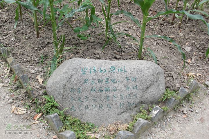 环太湖自驾行-[难忘记忆]CIMG0091_眸目压缩