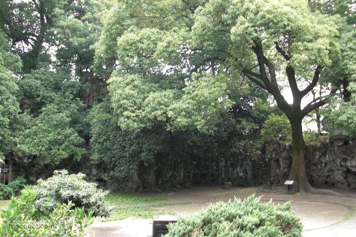 环太湖自驾行-[难忘记忆]CIMG0092_眸目压缩