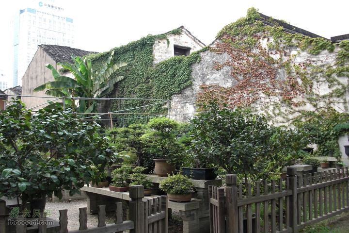 环太湖自驾行-[难忘记忆]CIMG0093_眸目压缩