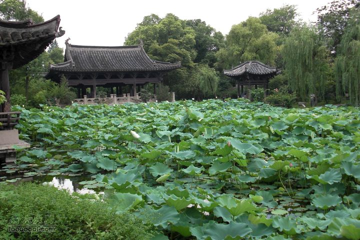 环太湖自驾行-[难忘记忆]CIMG0097_眸目压缩