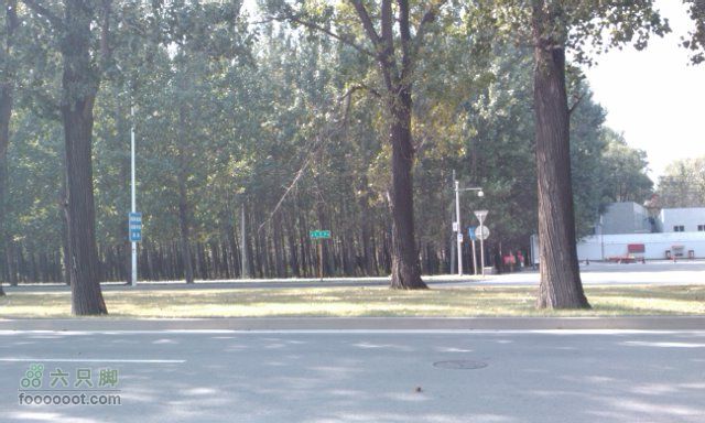 2010-10-16 凤凰岭 去程温阳路边的树林